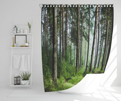 Beautiful summer forest with different trees (Shower Curtain) / Default Title