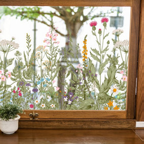 Beautiful & Wild Window Flowers