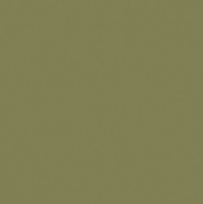Bedec Multi-Surface Paint Ivy Green Gloss - 2.5L