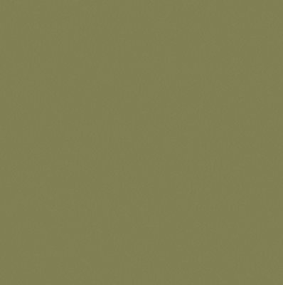Bedec Multi-Surface Paint Ivy Green Satin - 2.5L