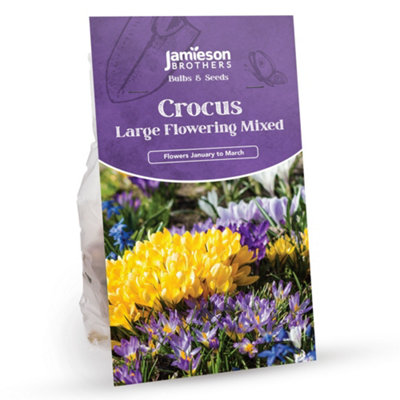 Bee & Butterfly Spring Mix to Attract Pollinators (Approx. 271 Bulbs) by Jamieson Brothers - 3