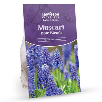 Bee & Butterfly Spring Mix to Attract Pollinators (Approx. 271 Bulbs) by Jamieson Brothers - 7