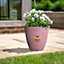 Bee Planter - Weather Resistant Colourful Recycled Plastic Bumblebee Design Garden Flower Plant Pot - Pink, H38 x 38cm Diameter
