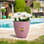 Bee Planter - Weather Resistant Colourful Recycled Plastic Bumblebee Design Garden Flower Plant Pot - Pink, H38 x 38cm Diameter