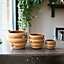 Beehive Design Ceramic Indoor Plant Pot H13 cm