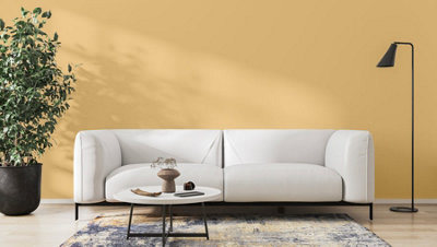 Beehive Eggshell Interior Paint 750ml