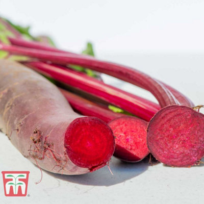 Beetroot Cylindra 1 Seed Packet (100 Seeds)