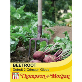 Beetroot Globe 2 1 Seed Packet (250 Seeds)