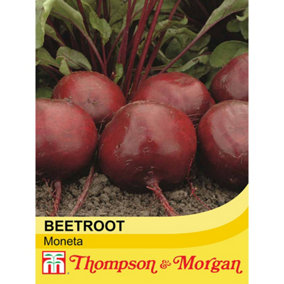 Beetroot Moneta 1 Seed Packet (150 Seeds)