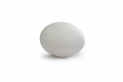 Beeztees Stone Pigeon Eggs 4cm