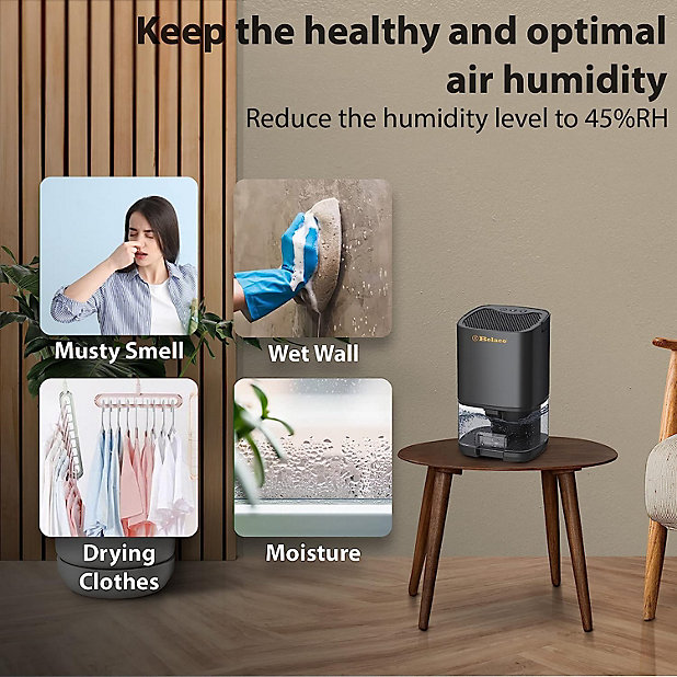 Mini Electric Dehumidifier 1000ML Portable Dehumidifier Air Purifier for  Home Bedroom