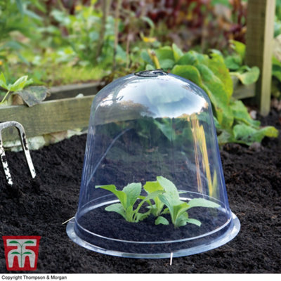 Bell Cloche Garden Protection for Young Plants Weatherproof Plastic Protects Alpine & Perennial Plants from Rotting and Pests x5