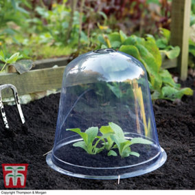 Bell Cloche Garden Protection for Young Plants Weatherproof Protects Alpine & Perennial Plants from Rotting & Pests x3
