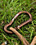 Bell Tent Guy Rope Carabiners, Set of 14