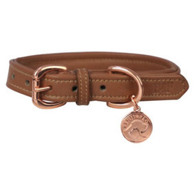 Benji & Flo Deluxe Leather Padded Dog Collar Tan/Rose Gold (XS- Length: 21cm-34cm)
