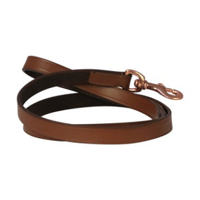 Benji & Flo Deluxe Leather Padded Dog Lead Tan/Rose Gold (One Size)