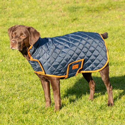 Xs store puppy coat