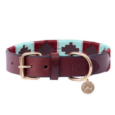 Benji & Flo Sublime Polo Leather Dog Collar Aqua Blue/Fig (XS - Neckline: 28cm-36cm) Price Comparisons | Compare The Build