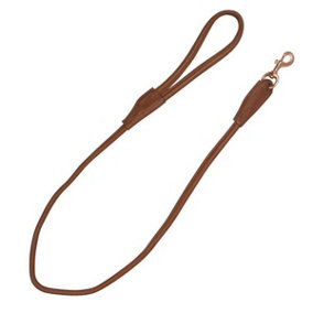 Benji & Flo Superior Roll Leather Dog Lead Tan/Rose Gold (One Size)
