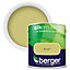 Berger Silk Emulsion Paint Olive Jar - 2.5L