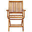 Berkfield Folding Garden Chairs 2 pcs Solid Teak Wood