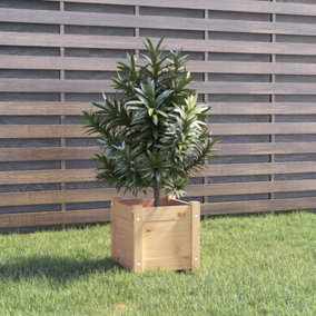 Berkfield Garden Planter 31x31x31 cm Solid Pinewood