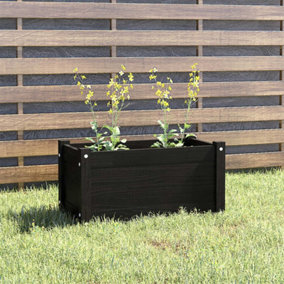 Berkfield Garden Planter Black 60x31x31 cm Solid Pinewood