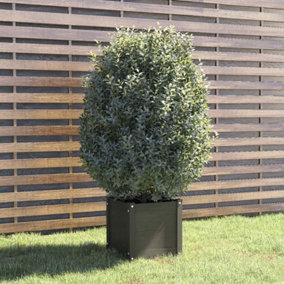 Berkfield Garden Planter Grey 40x40x40 cm Solid Pinewood
