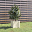 Berkfield Garden Planter White 31x31x31 cm Solid Pinewood