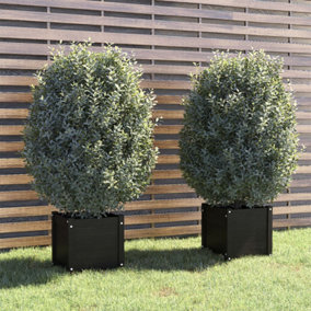 Berkfield Garden Planters 2 pcs Black 40x40x40 cm Solid Pinewood