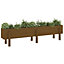 Berkfield Garden Raised Bed Honey Brown 160x30x38 cm Solid Wood Pine