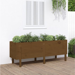 Berkfield Garden Raised Bed Honey Brown 160x50x57 cm Solid Wood Pine
