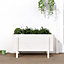 Berkfield Garden Raised Bed White 101x50x57 cm Solid Wood Pine