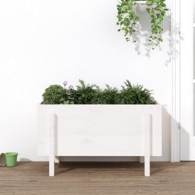 Berkfield Garden Raised Bed White 101x50x57 cm Solid Wood Pine