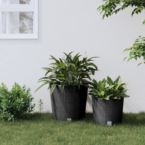 Berkfield Planter with Removable Inner Anthracite 35 / 37.5 L PP Rattan