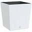 Berkfield Planter with Removable Inner White 37 / 64 L PP Rattan