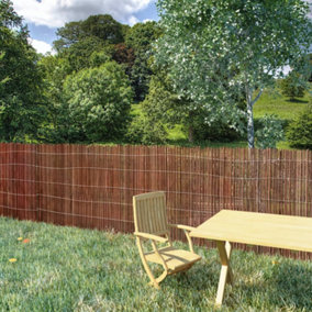 Berkfield Willow Fence 300x100 cm