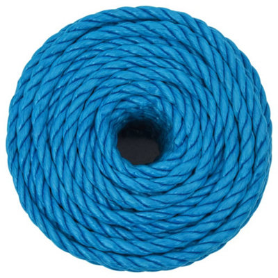 Berkfield Work Rope Blue 10 mm 50 m Polypropylene