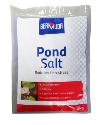 Bermuda Pond Salt Fish 2 Kilograms