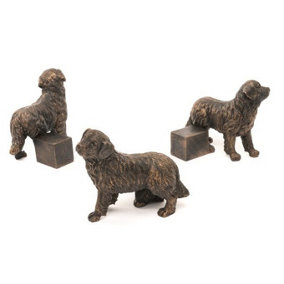 Bernese Mountain Dog Plant Pot Feet - Set of 3 - L8 x W8.5 x H10.3 cm