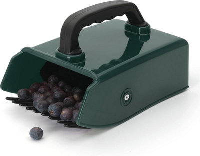 Blueberry Rake Fruit Picker Tool Blueberry Picker Tool Plastic Berry ...