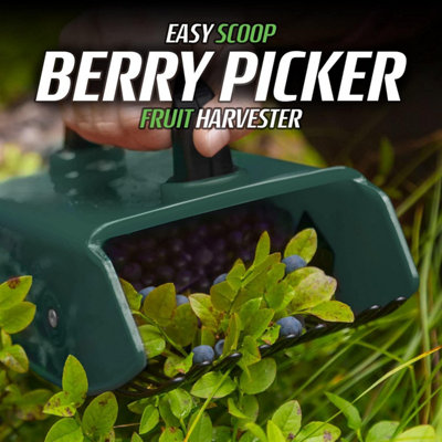 Stainless Steel Blueberry Picker Tool - Berry Harvesting Comb Rake For Multiple Fruits