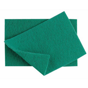 Berties Caterers Industrial Scouring Pads (Pack of 10) Green (One Size)
