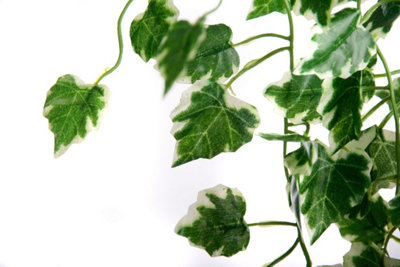 Best Artificial 100cm Variegated Grape Trailing Ivy Garland - TI01