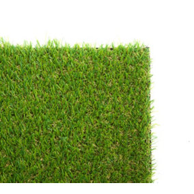 Best Artificial 20mm Grass 1mx10m (3.3ft x 32.8ft) - 10m² Child & Pet Friendly Easy Install Turf Roll UV Stable Artificial Lawn