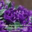 Best Artificial 28cm Purple Rose Hanging Basket Flower Topiary Ball - Suitable for Outdoor Use - Weather & Fade Resistant