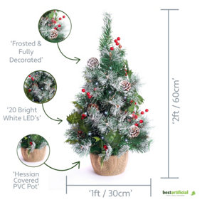 Best Artificial 2ft - 60cm Frosted Christmas Tree with 20 Bright White battery lights