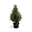 Best Artificial 2ft - 60cm Potted Cedar Topiary Tree - Suitable for Outdoor Use - Weather & Fade Resistant