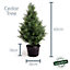 Best Artificial 2ft - 60cm Potted Cedar Topiary Tree - Suitable for Outdoor Use - Weather & Fade Resistant