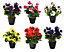 Best Artificial 30cm Red Pansy Plug Plant - Pot Not Included